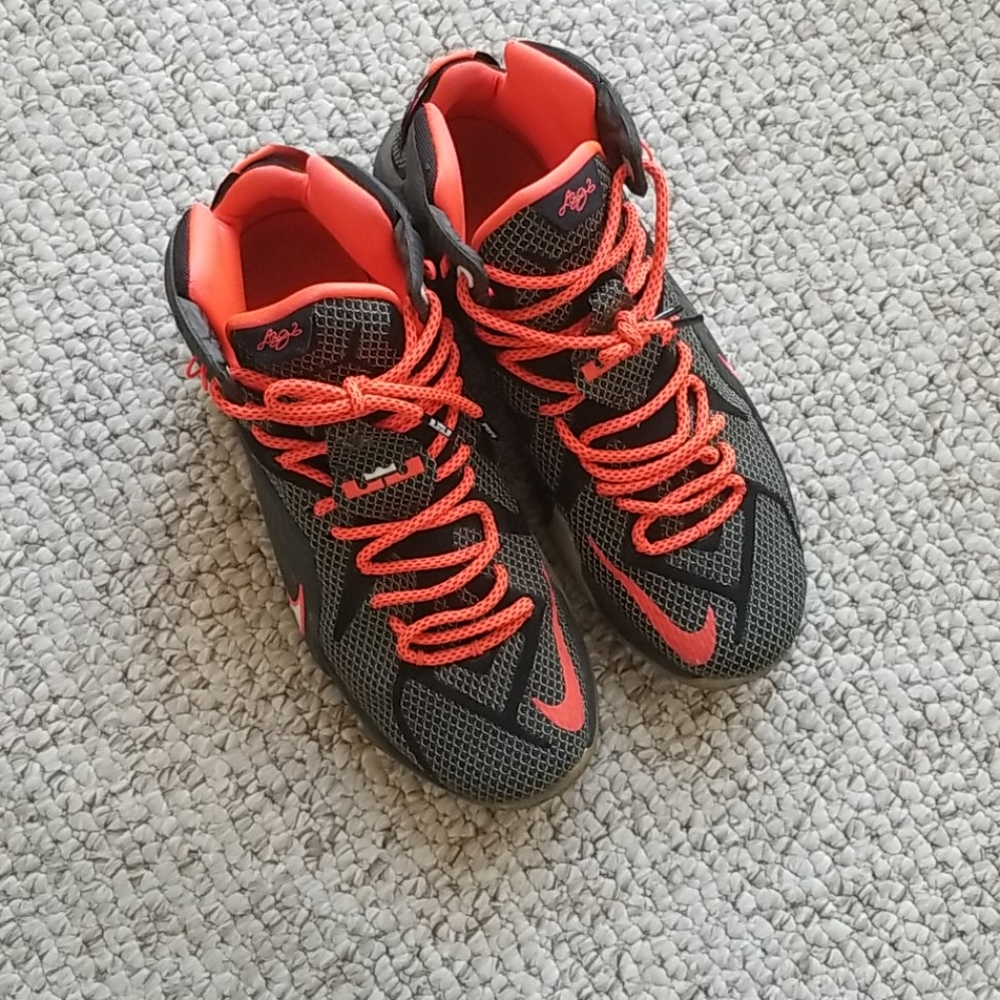 Lebron James - image 2